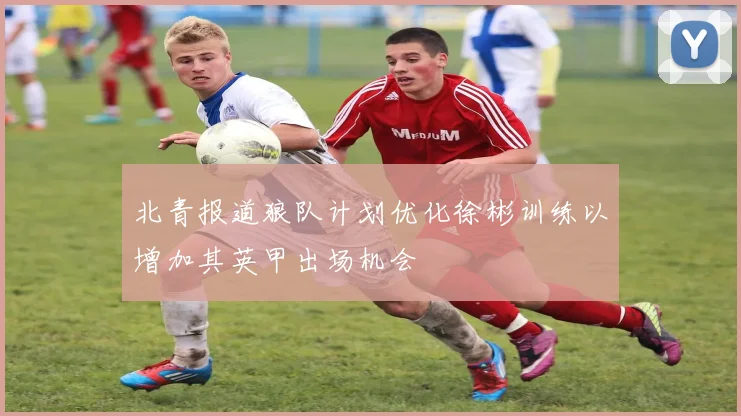 北青报道狼队计划优化徐彬训练以增加其英甲出场机会